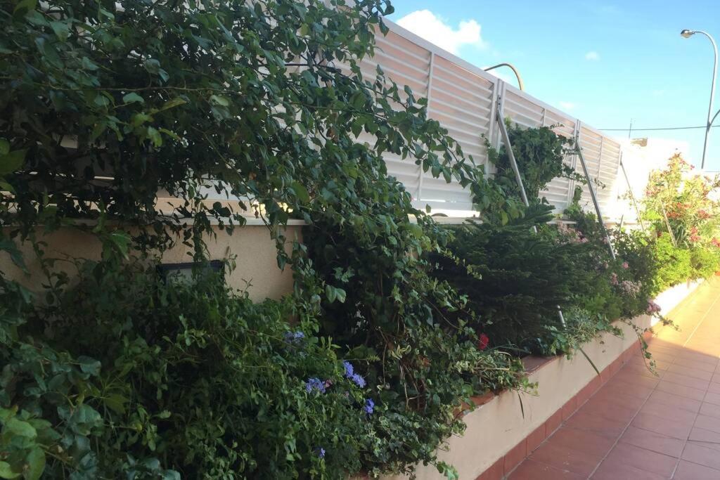 Muy Cerca De La Playa Gran Piscina Wifi Gratis Port Aventura Appartement Miami Playa